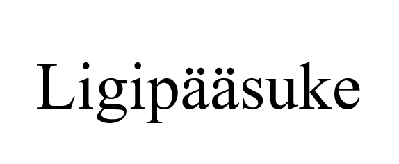 Ligipääsuke