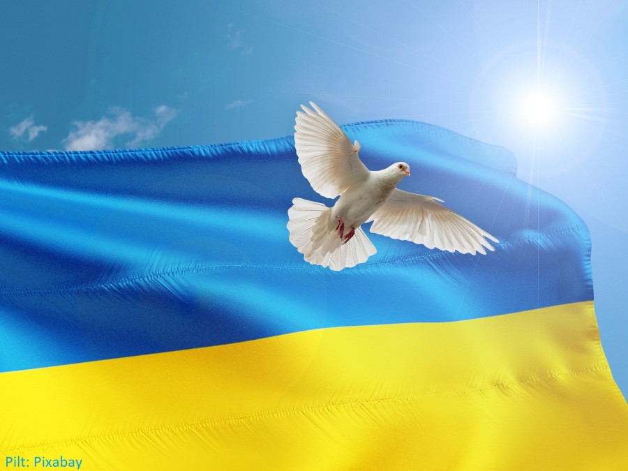 Ukraina lipuvärvides rahu